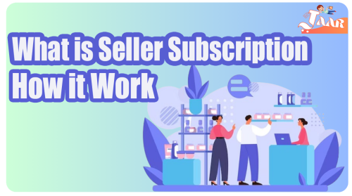 What is Seller Subscription How it Work